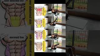 4 exercises to train 8 abdominal muscles homeworkout abdominalsshorts shortsfeed yoga exercise [upl. by Syman112]