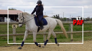 JE TOMBE DE SAFIR  EN DRESSAGE [upl. by Glynn537]