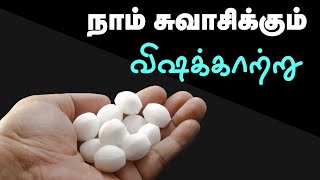 Are Naphthalene Balls Bad for Your Health  24 Tamil Health [upl. by Borlow]