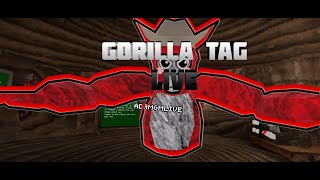 🔴 Gorilla tag With Fans🔴 [upl. by Kuebbing419]