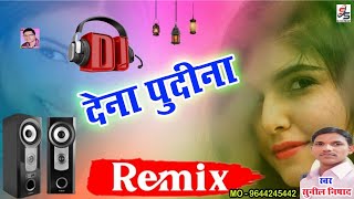 DJ Remix Dena Pudina Dj Song Sunil Nishad डी जे रिमिक्स सांग देना पुदीना सुनील निषाद SS Music [upl. by Yenobe]