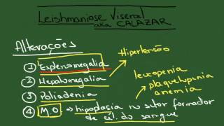 Leishmaniose Visceral Calazar  Resumo  Parasitologia [upl. by Brebner]