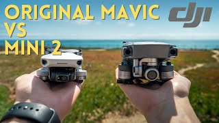 Original DJI Mavic Pro VS DJI Mini 2  Which One Should You Get [upl. by Wolgast]