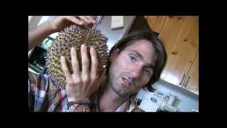 Intro to Durian the King of fruits raw vegan fun [upl. by Coney849]