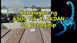 KAHULUGAN NG ASUL NA ALAKDAN SA PANAGINIP [upl. by Eleahcim]