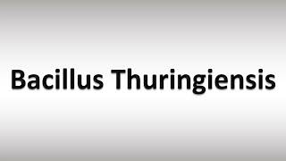 How to Pronounce Bacillus Thuringiensis [upl. by Alvera134]