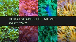 Coralscapes the Movie  Part Two [upl. by Oicnerolf]