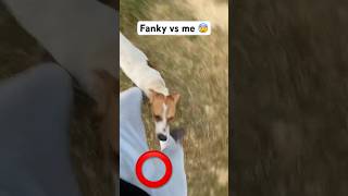 Fanky vs me 😰 pbhvivek doglover [upl. by Dranyar254]