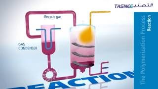 Polypropylene PP Production Process Overview [upl. by Grimonia]