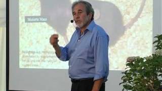 Bruce Lipton  La Mente è più Forte dei Geni  DVD [upl. by Ardnwahs365]