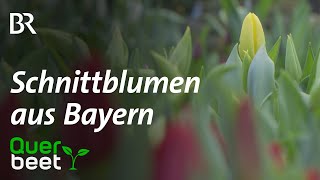 Schnittblumen aus Bayern zum Valentinstag [upl. by Toille]