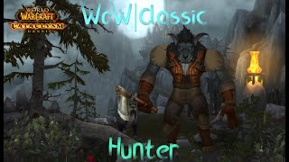 WoWClassicHunterep 9 [upl. by Shayna]