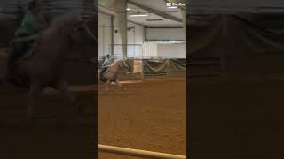 Lone Star rodeo the 28th More vids coming soon And it’s blurry lol… rodeo svbullybsmokin goat [upl. by Tharp457]