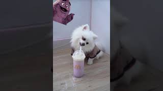 Doge tries the grimace shake [upl. by Geraldina]