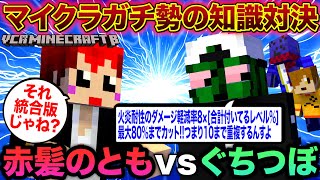 VCRマイクラ 第8話 マイクラ勢の知識対決 エンチャント本を賭けた戦い【赤髪のとも視点ぺいんとらっだぁぐちつぼ】 [upl. by Aniuqaoj527]