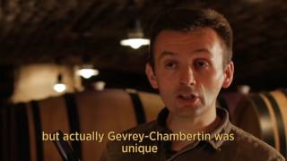 Domaine de la Vougeraie  GevreyChambertin quotLa Justicequot [upl. by Enilemme]