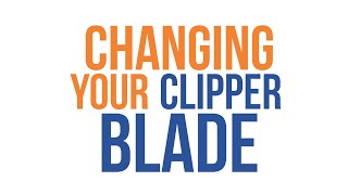 How To Change Your Clipper Blades [upl. by Larentia]