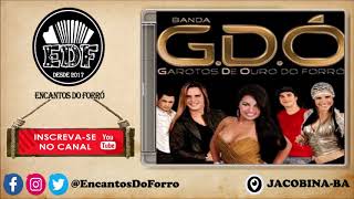 Banda GDÓ Do Forró  Volume 2 [upl. by Dallis]