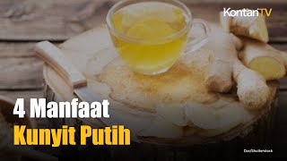 4 Manfaat Kunyit Putih yang Belum Banyak Diketahui [upl. by Norrej]