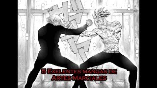 5 Exelentes Mangas De Artes Marciales [upl. by Sackman]