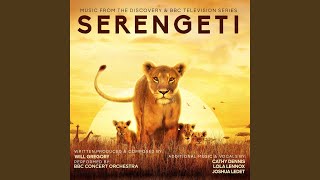 Serengeti Theme [upl. by Ydnam]