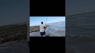 pesca en pehuenco [upl. by Anstice]