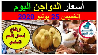 أسعار بورصة الدواجن والكتاكيت والبط والسمان  وأسعار بيض المائدة والعلف اليوم الخميس 25  6  2020 [upl. by Enelec612]