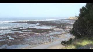 Tsunami March 11 2011 at Bowling Ball Beach Mendocino County [upl. by Keenan]