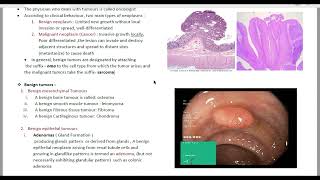 neoplasia 1 [upl. by Eidas640]