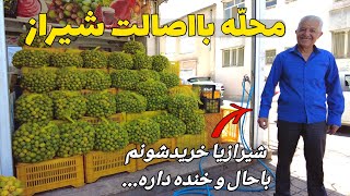 Shiraz Downtown  Walking Tour on Laleh to Tahvili St  محله های قدیمی شیراز خیابان لاله و تحویلی [upl. by Eatton]