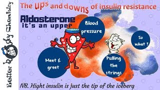 Aldosterone in insulin resistance [upl. by Anikat]