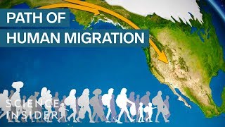 Map Shows How Humans Migrated Across The Globe [upl. by Waddell]