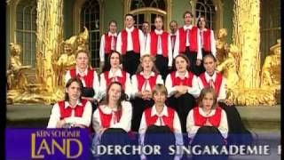 Kinderchor Potsdam  Marienwürmchen 1997 [upl. by Aimahs172]