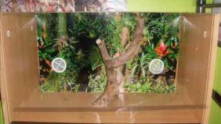 how to build and setup a snake vivarium [upl. by Thorwald]