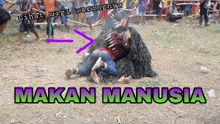 Baru Barongan Besar Yang Lapar Akhirnya Dapat Makanan 😲 [upl. by Anilac]