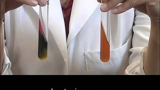 Hydrogen sulfide test Biochemical assay [upl. by Lavoie370]