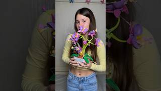 ЧУДОВІ КВІТИ WISEPLAY Orchid Flower КОНСТРУКТОР WISEPLAY [upl. by Eirallih]