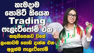 හැමදාම ප්‍රොෆිට් තියෙන Trading Platform  New trading Platform sinhala  E Money Website in sinhala [upl. by Vale993]