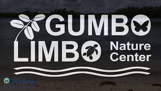 Gumbo Limbos Intracoastal Highlights [upl. by Damaris]