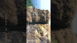 Tringalwadi  Tringalwadi fort  igatpuri  whatsapp status  reels [upl. by Nwadahs]