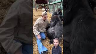 Kindful Gorillashortsviral animalvideos animalshorts animals gorilla gorillatagfun youtuber [upl. by Wallache]