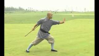 Master Shi Guo Song Shaolin Qimei Cudgel Demonstration [upl. by Barhos]