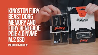 Kingston FURY Beast DDR5 Memory and FURY Renegade PCIe 40 NVMe M2 SSD [upl. by Eemyaj]