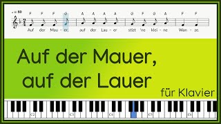 Auf der Mauer auf der Lauer  Kinderlied  original Text und Noten mit Buchstaben  Klavier [upl. by Viquelia]