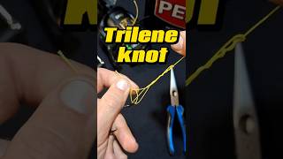 How to tie the Trilene Knot Subscribe for more content [upl. by Ainniz94]