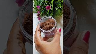 Instant Cocoa Powder  Cocoa Powder  How to make cocoa powder at home  Swarupas kitchen [upl. by Meadows]