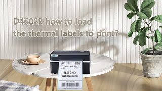 D462B how to load the thermal labels to print [upl. by Irehs]