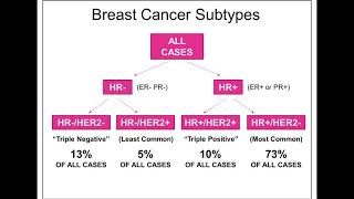 Optimizing Treatment Options for HER2 ER Breast Cancer using Models of Endocrine Resistance [upl. by Ahsiuqel456]