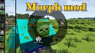 Minecraft 1165  Morph mod [upl. by Mckee]