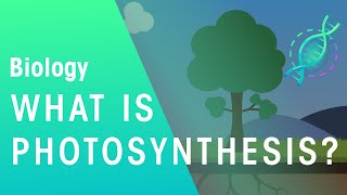 What Is Photosynthesis  Biology  FuseSchool [upl. by Lucita632]